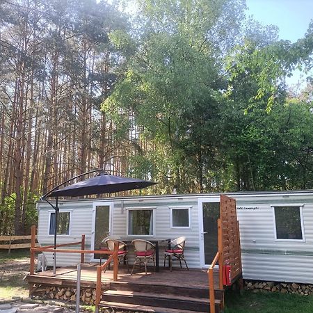Tinyhaus Idyllisch Am Waldesrand Hotel Cottbus Exterior photo