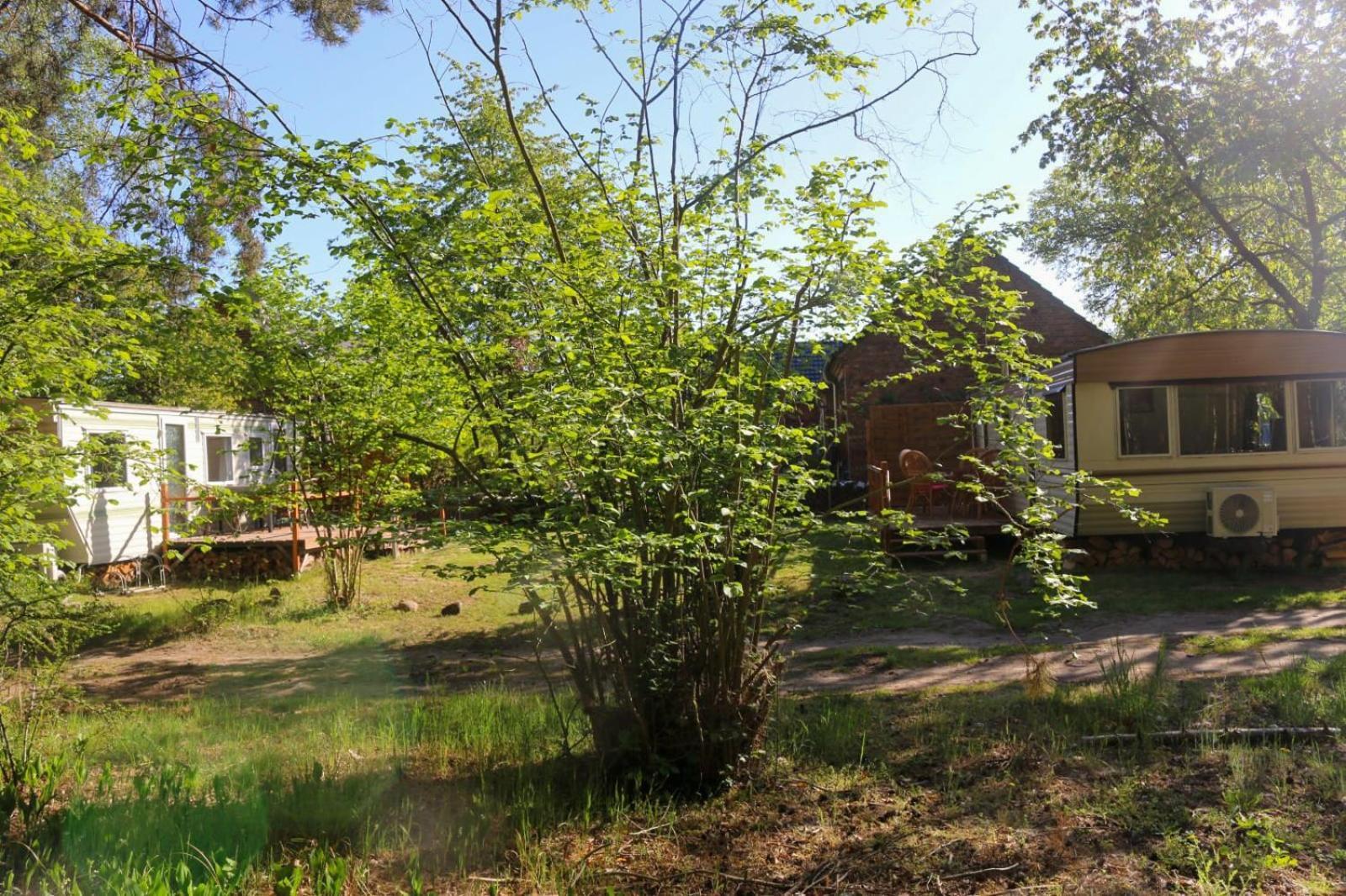 Tinyhaus Idyllisch Am Waldesrand Hotel Cottbus Exterior photo